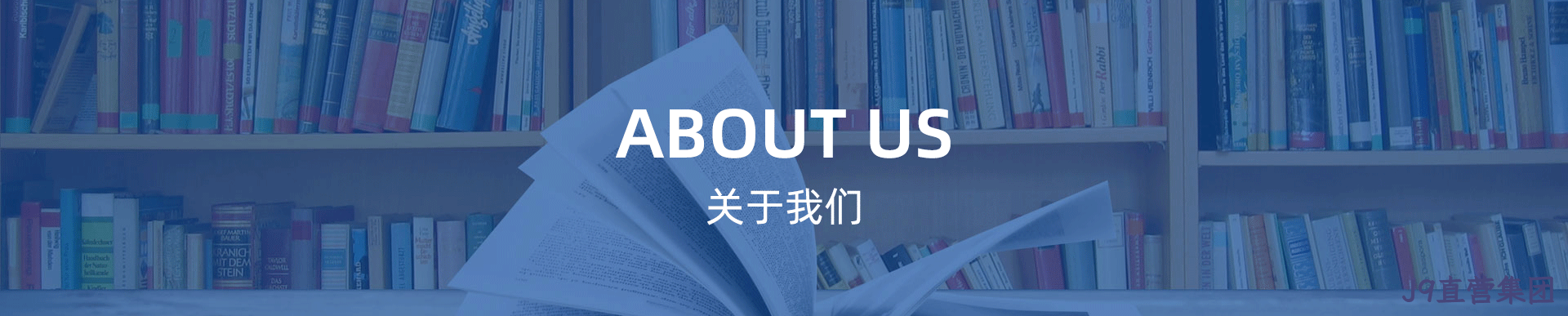 这是描述信息